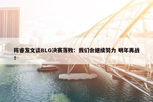 陈睿发文谈BLG决赛落败：我们会继续努力 明年再战！