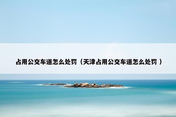 占用公交车道怎么处罚（天津占用公交车道怎么处罚 ）