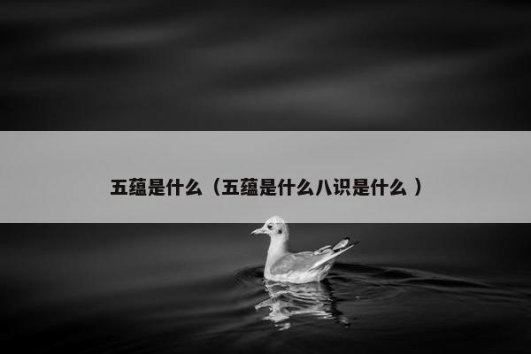 五蕴是什么（五蕴是什么八识是什么 ）