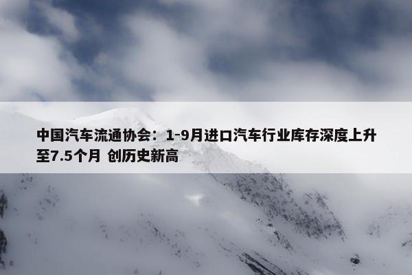 中国汽车流通协会：1-9月进口汽车行业库存深度上升至7.5个月 创历史新高