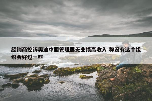 经销商控诉奥迪中国管理层无业绩高收入 称没有这个组织会好过一些