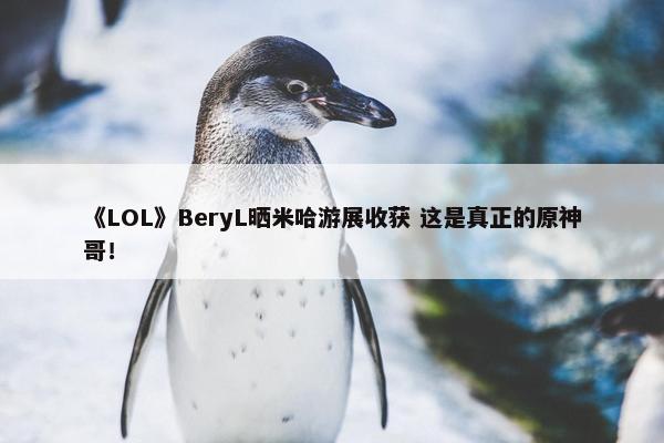 《LOL》BeryL晒米哈游展收获 这是真正的原神哥！