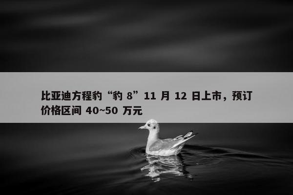 比亚迪方程豹“豹 8”11 月 12 日上市，预订价格区间 40~50 万元