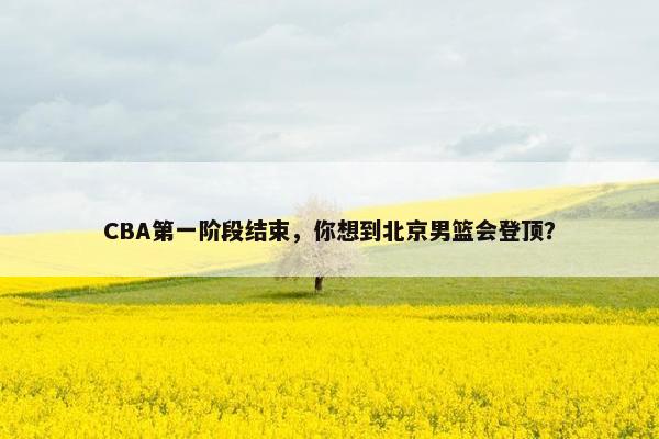 CBA第一阶段结束，你想到北京男篮会登顶？