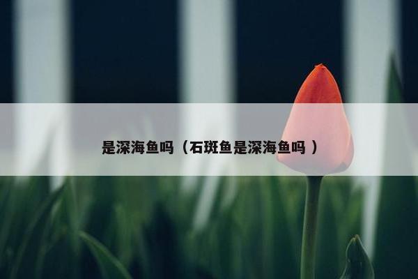 是深海鱼吗（石斑鱼是深海鱼吗 ）