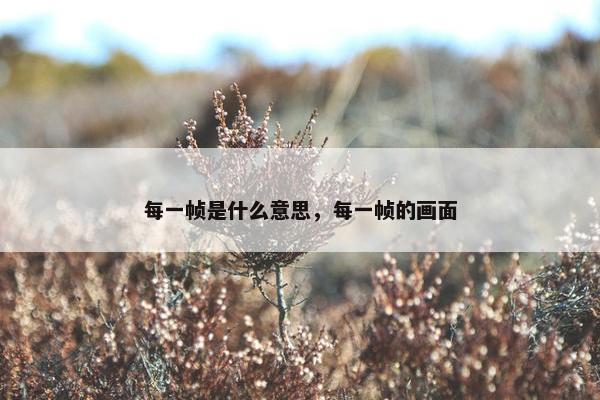 每一帧是什么意思，每一帧的画面