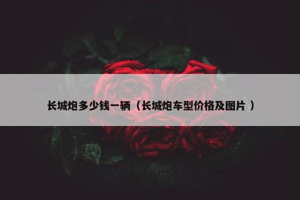 长城炮多少钱一辆（长城炮车型价格及图片 ）