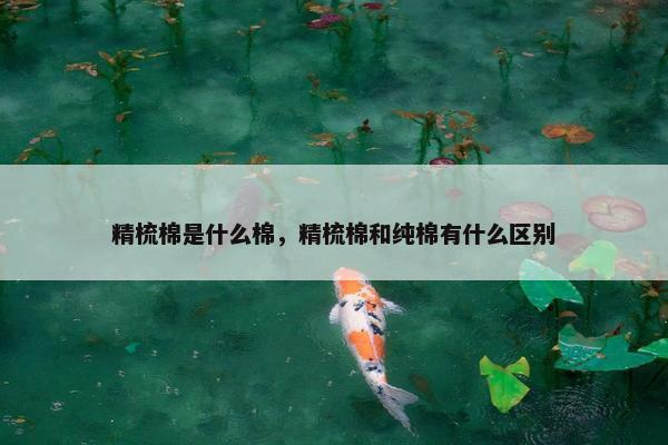 精梳棉是什么棉，精梳棉和纯棉有什么区别