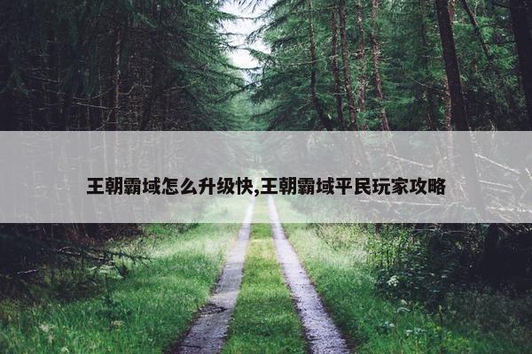 王朝霸域怎么升级快,王朝霸域平民玩家攻略