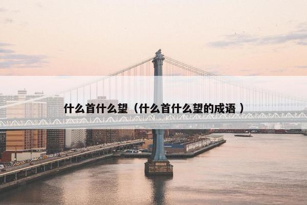 什么首什么望（什么首什么望的成语 ）