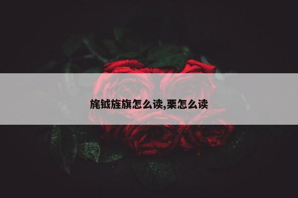 旄钺旌旗怎么读,栗怎么读