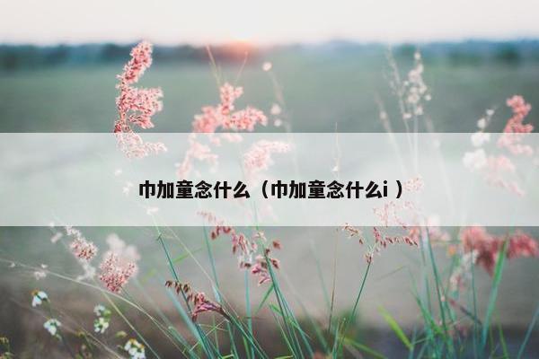 巾加童念什么（巾加童念什么i ）