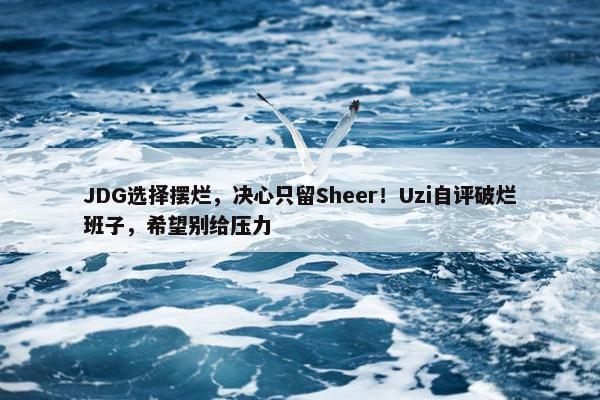 JDG选择摆烂，决心只留Sheer！Uzi自评破烂班子，希望别给压力