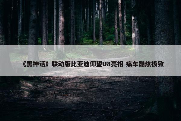 《黑神话》联动版比亚迪仰望U8亮相 痛车酷炫极致