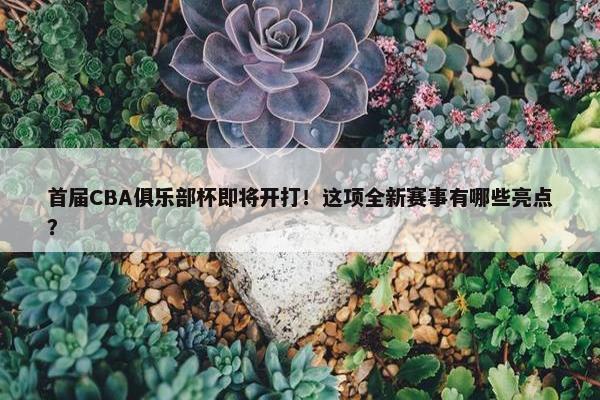 首届CBA俱乐部杯即将开打！这项全新赛事有哪些亮点？