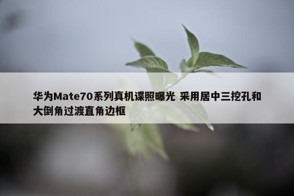 华为Mate70系列真机谍照曝光 采用居中三挖孔和大倒角过渡直角边框