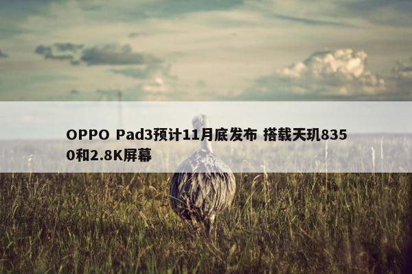 OPPO Pad3预计11月底发布 搭载天玑8350和2.8K屏幕