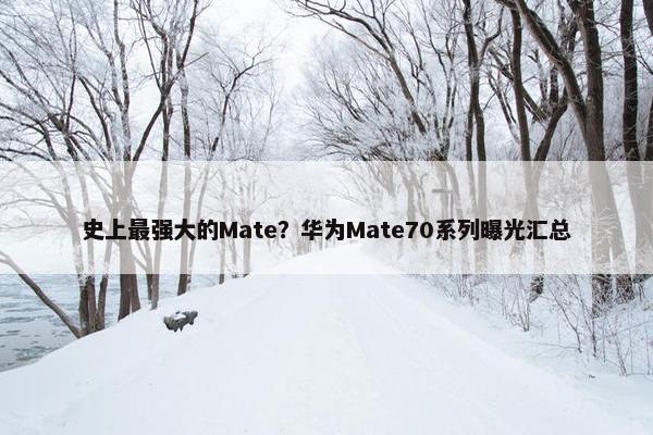 史上最强大的Mate？华为Mate70系列曝光汇总