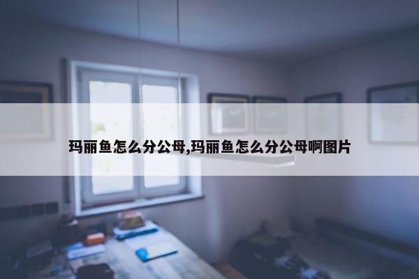 玛丽鱼怎么分公母,玛丽鱼怎么分公母啊图片