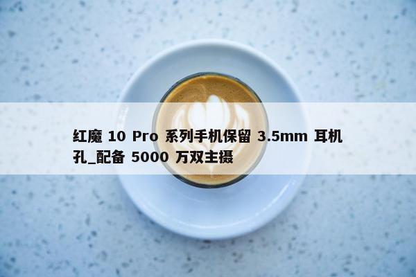 红魔 10 Pro 系列手机保留 3.5mm 耳机孔_配备 5000 万双主摄