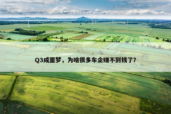 Q3成噩梦，为啥很多车企赚不到钱了？