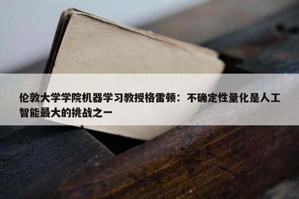 伦敦大学学院机器学习教授格雷顿：不确定性量化是人工智能最大的挑战之一