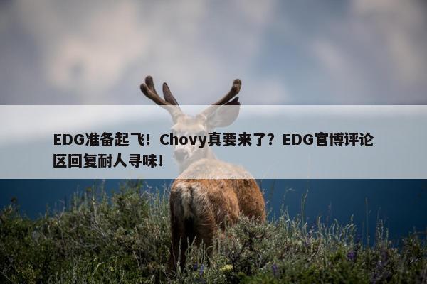 EDG准备起飞！Chovy真要来了？EDG官博评论区回复耐人寻味！