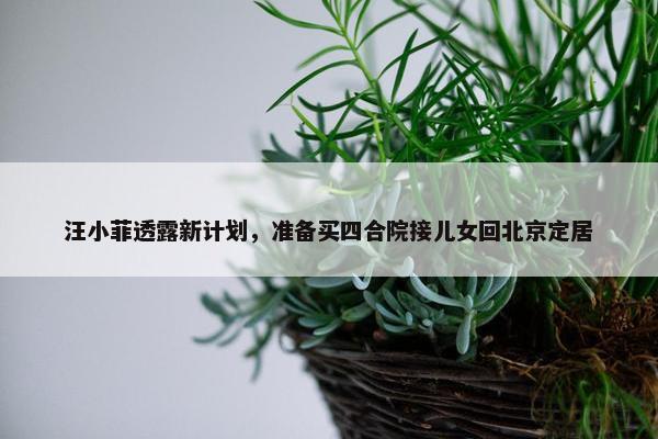 汪小菲透露新计划，准备买四合院接儿女回北京定居