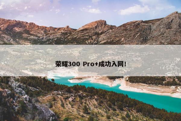 荣耀300 Pro+成功入网！