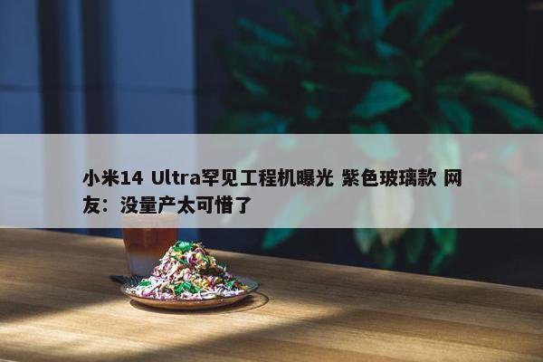 小米14 Ultra罕见工程机曝光 紫色玻璃款 网友：没量产太可惜了