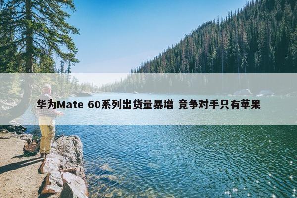 华为Mate 60系列出货量暴增 竞争对手只有苹果