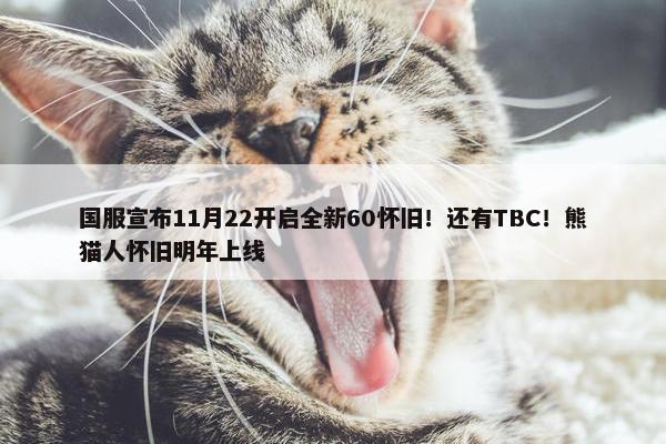 国服宣布11月22开启全新60怀旧！还有TBC！熊猫人怀旧明年上线