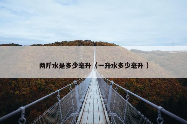 两斤水是多少毫升（一升水多少毫升 ）