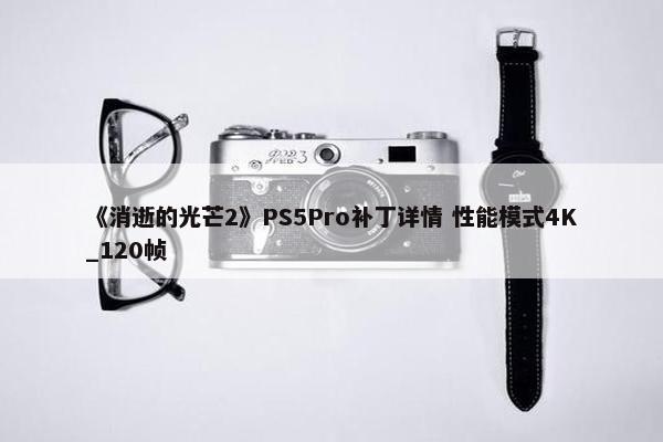 《消逝的光芒2》PS5Pro补丁详情 性能模式4K_120帧