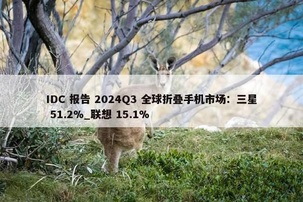 IDC 报告 2024Q3 全球折叠手机市场：三星 51.2%_联想 15.1%