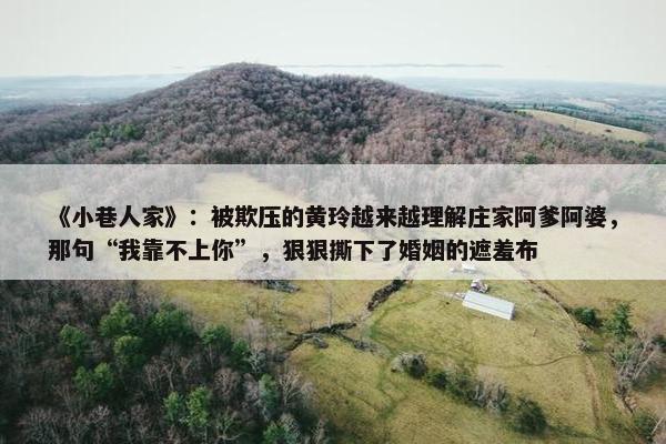 《小巷人家》：被欺压的黄玲越来越理解庄家阿爹阿婆，那句“我靠不上你”，狠狠撕下了婚姻的遮羞布