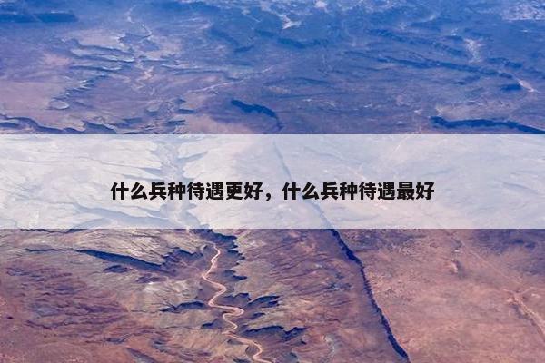 什么兵种待遇更好，什么兵种待遇最好