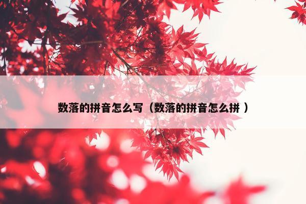 数落的拼音怎么写（数落的拼音怎么拼 ）