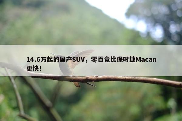 14.6万起的国产SUV，零百竟比保时捷Macan更快！