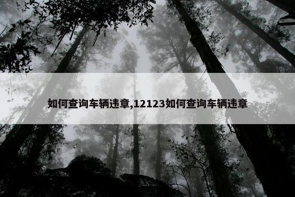 如何查询车辆违章,12123如何查询车辆违章