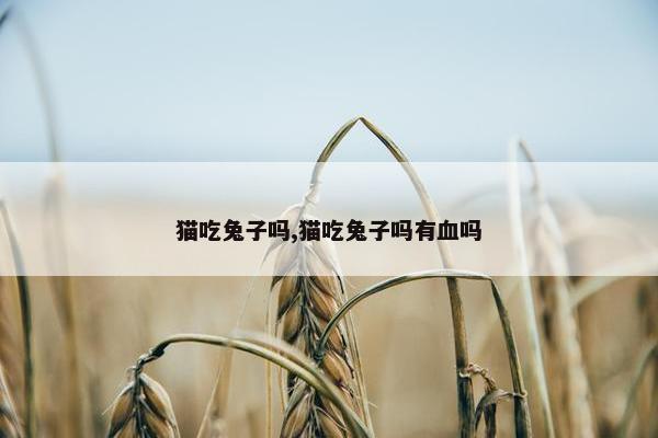 猫吃兔子吗,猫吃兔子吗有血吗