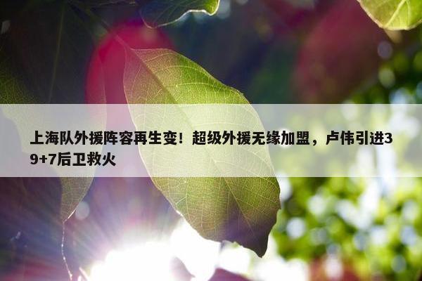 上海队外援阵容再生变！超级外援无缘加盟，卢伟引进39+7后卫救火