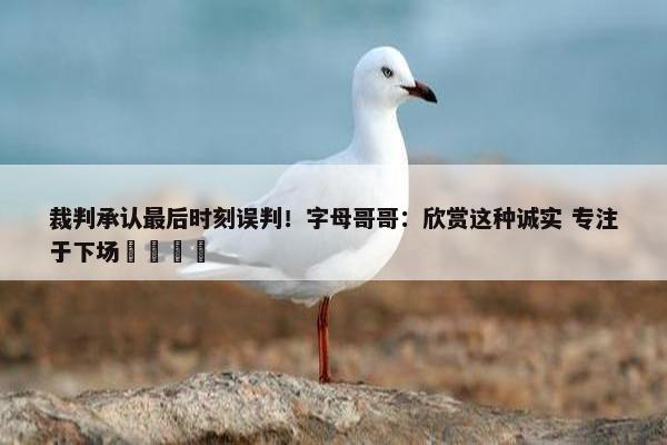 裁判承认最后时刻误判！字母哥哥：欣赏这种诚实 专注于下场🦌