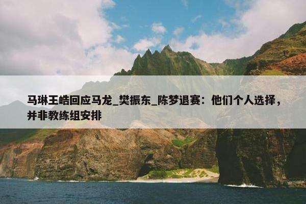 马琳王皓回应马龙_樊振东_陈梦退赛：他们个人选择，并非教练组安排