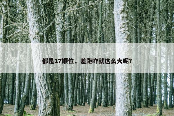 都是17顺位，差距咋就这么大呢？