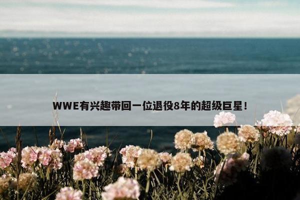 WWE有兴趣带回一位退役8年的超级巨星！