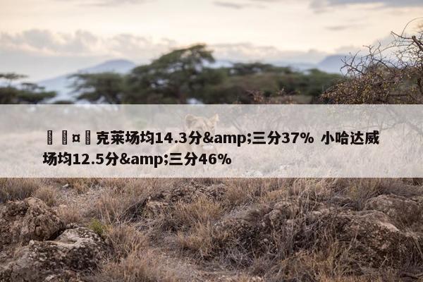 🤔克莱场均14.3分&三分37% 小哈达威场均12.5分&三分46%