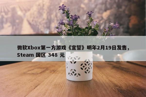 微软Xbox第一方游戏《宣誓》明年2月19日发售，Steam 国区 348 元