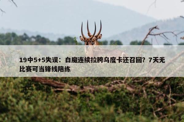 19中5+5失误：白魔连续拉胯乌度卡还召回？7天无比赛可当锋线陪练