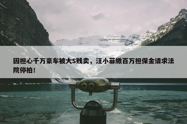 因担心千万豪车被大S贱卖，汪小菲缴百万担保金请求法院停拍！